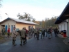 borovice-13-10-1