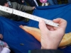 borovice-13-10-100