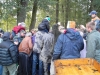 borovice-13-10-102