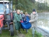 borovice-13-10-105