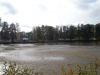 borovice-13-10-107