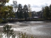 borovice-13-10-108