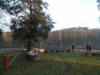 borovice-13-10-11