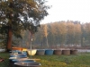 borovice-13-10-13