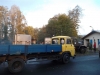borovice-13-10-2