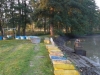 borovice-13-10-20