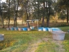 borovice-13-10-24