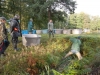borovice-13-10-26