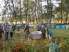 borovice-13-10-28