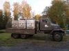 borovice-13-10-3