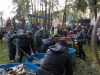 borovice-13-10-39