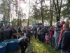 borovice-13-10-41