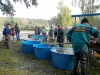 borovice-13-10-68
