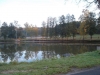 borovice-13-10-7