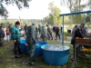 borovice-13-10-71