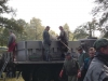 borovice-13-10-72