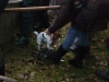 borovice-13-10-77