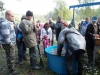 borovice-13-10-78