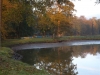 borovice-13-10-8