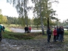 borovice-13-10-82
