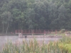 sam_0092