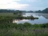 sam_0097