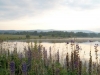 sam_0114