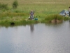 sam_0148