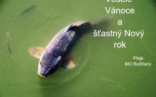 Veselé Vánoce přejí MOBožičany