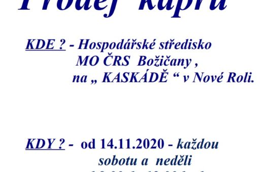 Prodej kaprů z výlovů - Kaskáda