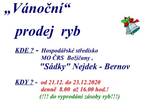 Vánoční prodej ryb - Bernov