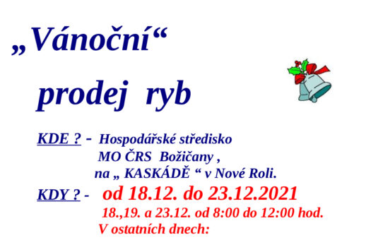 Vánoční prodej ryb - Nová Role