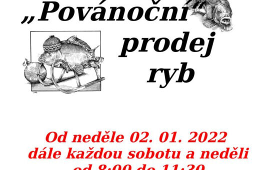 Povánoční prodej ryb