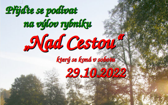 Výlov rybníku Nad Cestou 29.10.2022
