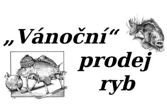 Vánoční prodej ryb v Bernově u Nejdku