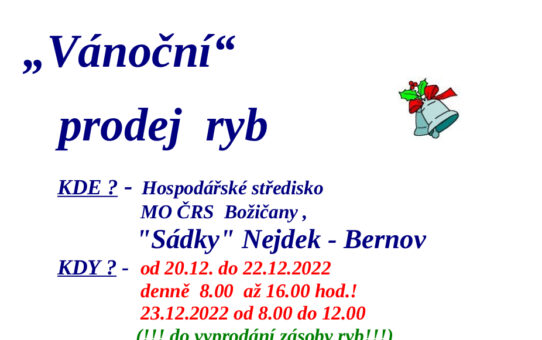 Vánoční prodej ryb v Bernově - Nejdek