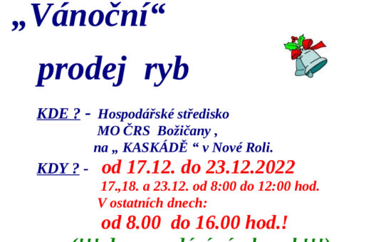 Vánoční prodej ryb na Kaskádě v Nové Roli
